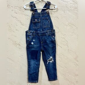 Baby Gap Girls Toddler Denim Overalls with Floral Patch size 2 years